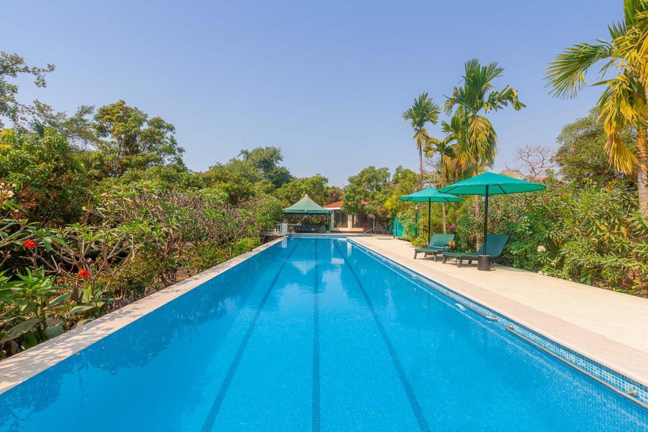 Stayvista'S Casa Palmera - Pet-Friendly Villa With Pool, Garden With Gazebo, And Indoor & Outdoor Games Alībāg Eksteriør billede